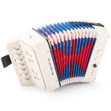 Accordeon - Billimay